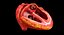 Animated Realistic Human Heart - Medically Accurate