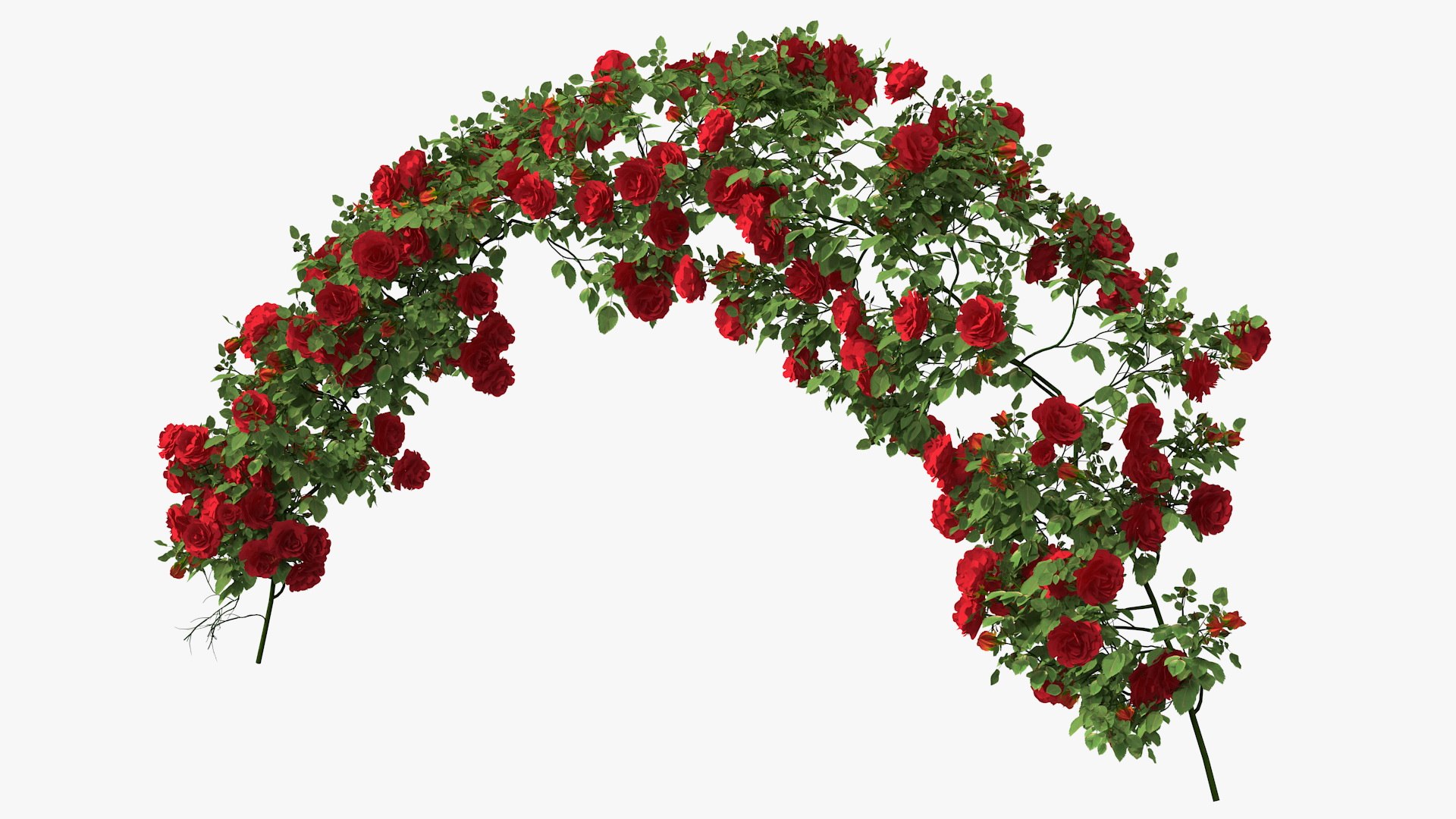 Branch Curly Roses 3D model preview