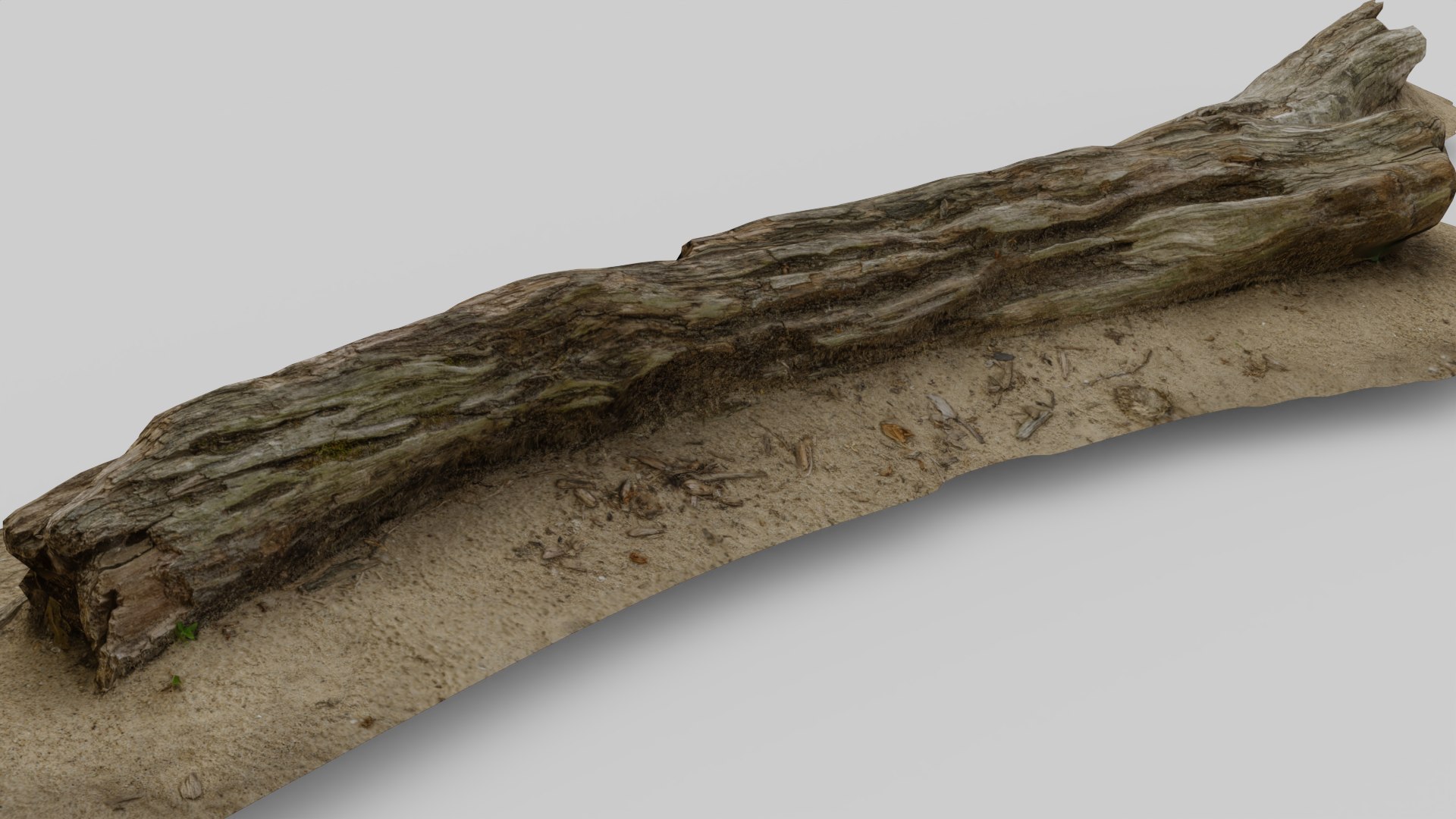 Beach Wood 0001 3D model https://p.turbosquid.com/ts-thumb/DE/ATJpYy/Hf/3/png/1725732407/1920x1080/fit_q87/0e13f7e75d0f34be4f1fc94ba7699b3b83200d71/3.jpg