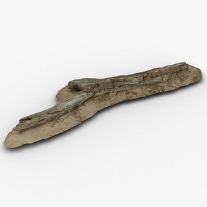 Beach Wood 0001 3D model
