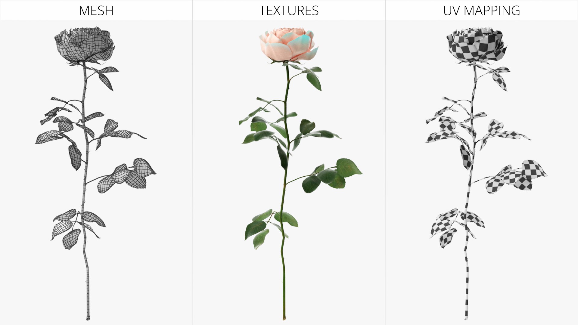 Peony Rose Flower Stem Beige Pink 3D model https://p.turbosquid.com/ts-thumb/DE/RZAkmF/OS/peony_rose_flower_stem_beige_pink_006/jpg/1763680030/1920x1080/fit_q87/308d9da59d9c817f96fe2becb39c114e05d473cb/peony_rose_flower_stem_beige_pink_006.jpg