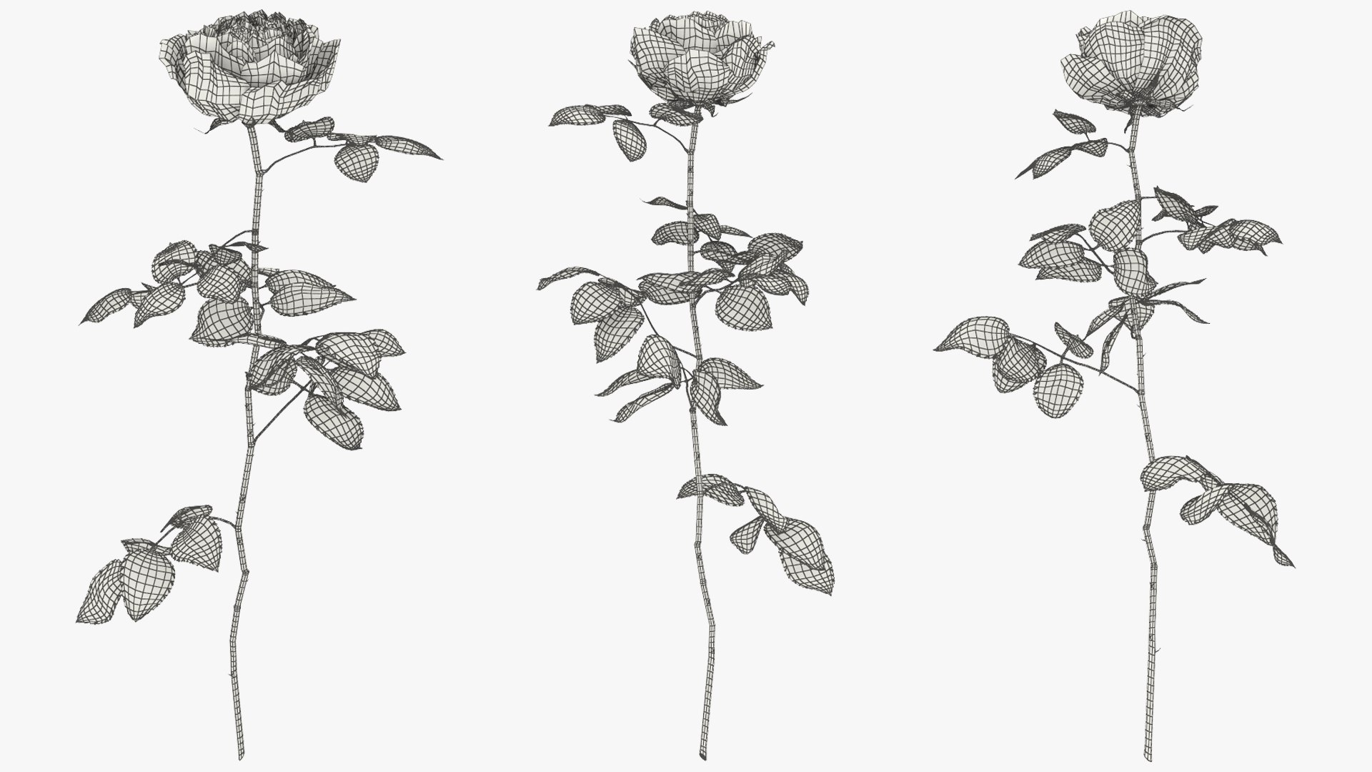 Peony Rose Flower Stem Beige Pink 3D model https://p.turbosquid.com/ts-thumb/DE/RZAkmF/tV/peony_rose_flower_stem_beige_pink_008/jpg/1763680038/1920x1080/fit_q87/b9424d6ece08c3173f55e30abe0318f8c43c19a4/peony_rose_flower_stem_beige_pink_008.jpg