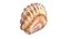3D seashell monster