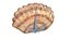 3D seashell monster