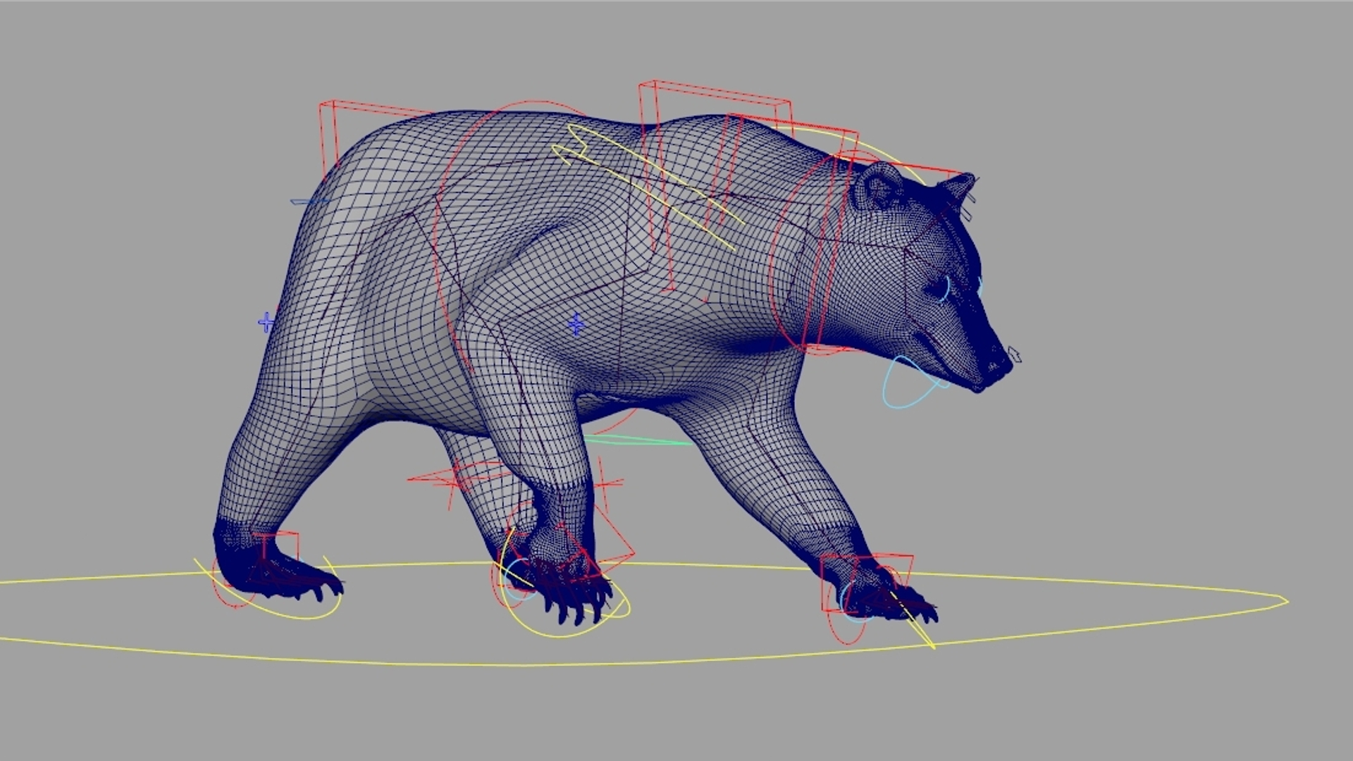 3D Bear Rig Animation Character - TurboSquid 1354894