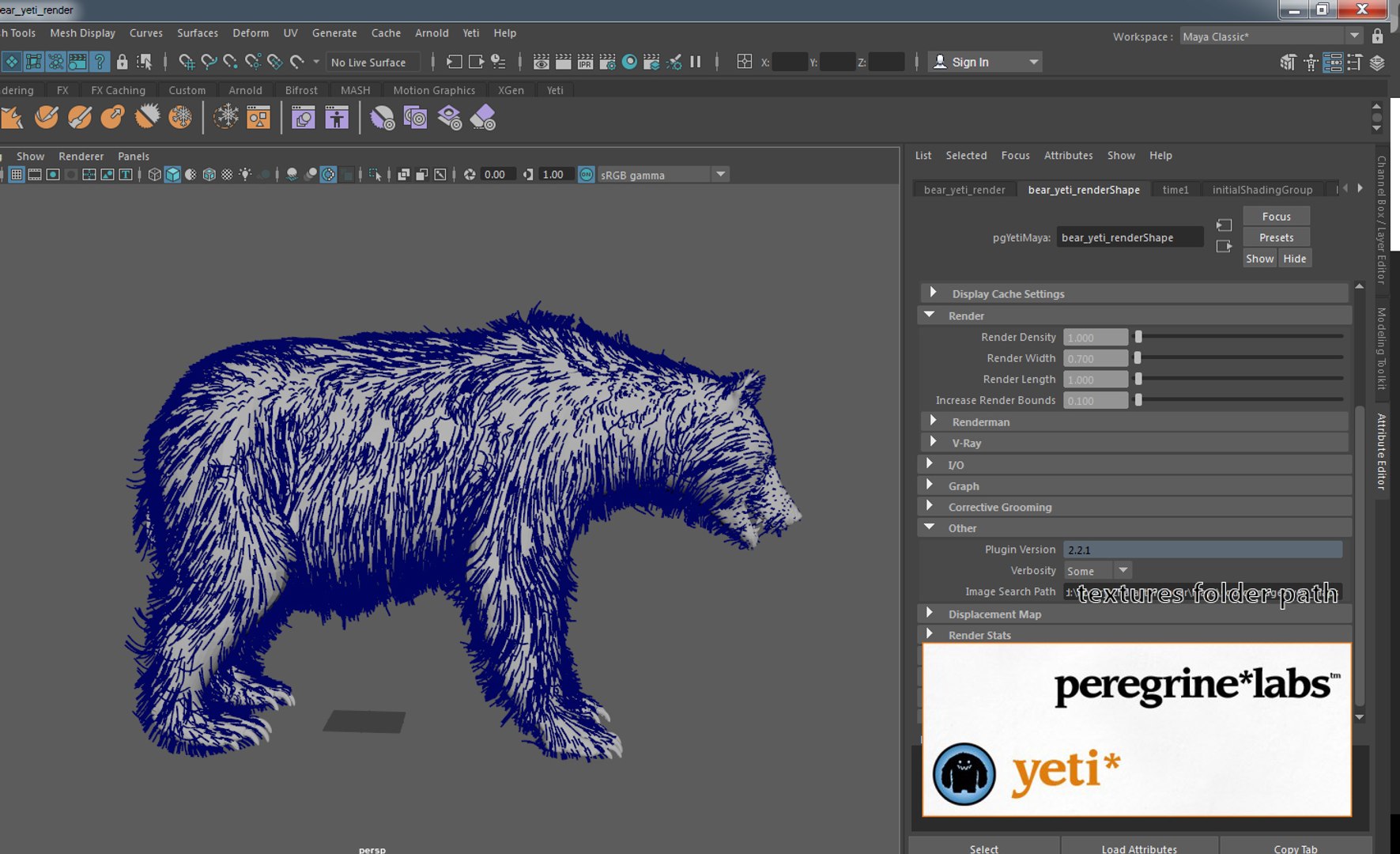 3D Bear Rig Animation Character - TurboSquid 1354894