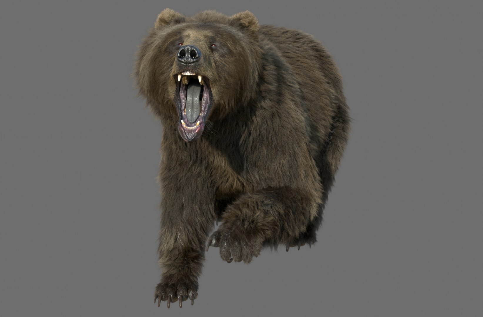 3D Bear Rig Animation Character - TurboSquid 1354894
