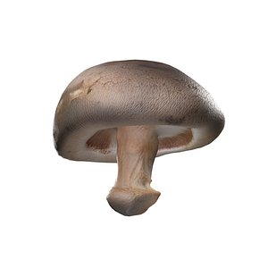 Mushroom 11 model