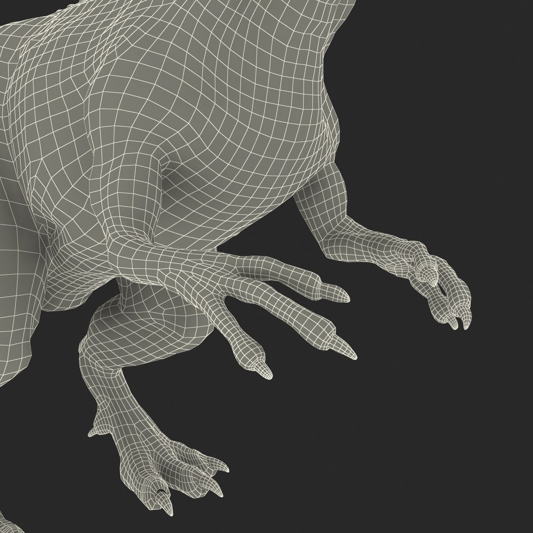3d Model Dinosaurs Rigged 2