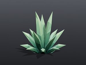 Agave Plant Low Poly PBR
