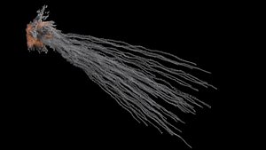 3D White Phosphorus Explosion VDB model