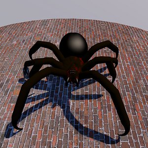 Spooky Spider