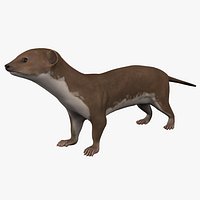 Weasel