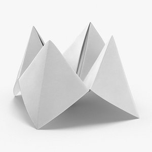 Cootie Catcher