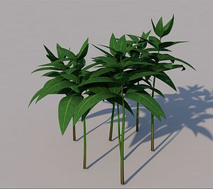 3D leaf grass