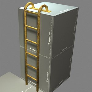 3d model mounting ladder