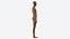 Male Full Body Mannequin Wooden