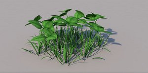 grass clover 3D model