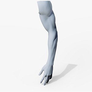 3D arms model