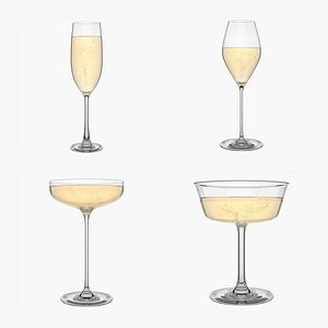 Champagne Glass Collection model