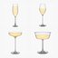 Champagne Glass Collection model