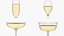 Champagne Glass Collection model