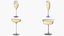 Champagne Glass Collection model