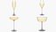 Champagne Glass Collection model