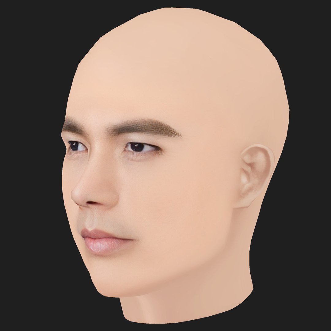 Low Poly Wallace Chung - Zhong Han Liang Head 3D https://p.turbosquid.com/ts-thumb/DF/ZWSaf2/B8/02/png/1787732442/1920x1080/fit_q87/275c6cc5f3a9e629df7c907d8824cd9cf4a7ed41/02.jpg