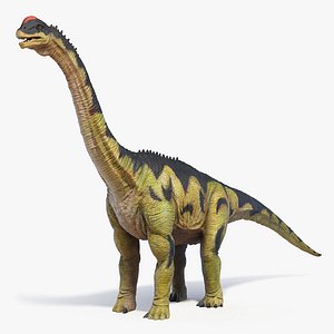Camarasaurus Static 3D model