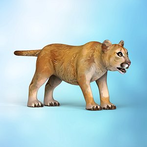 lion baby cartoon model
