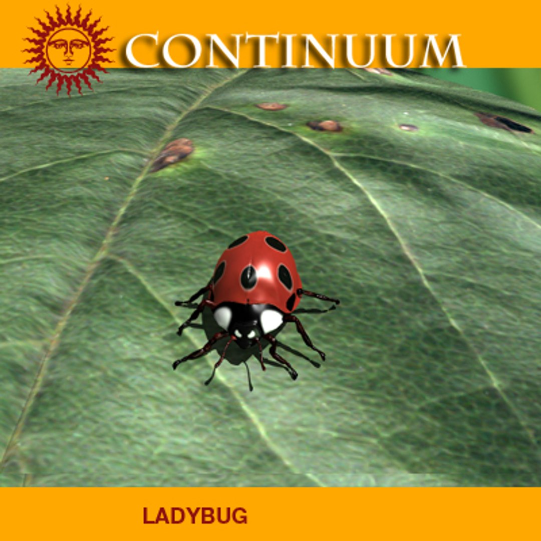 maya ladybug lady https://p.turbosquid.com/ts-thumb/DF/td8B5x/9md85XUo/ladybug03new/jpg/1154375338/1920x1080/fit_q87/27c11d857ce3008113e5e7ee814a4ca727a10426/ladybug03new.jpg
