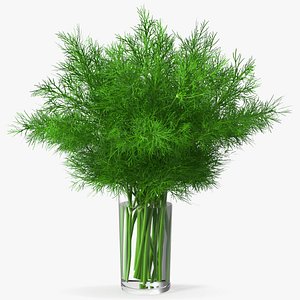 Dill Water Glass