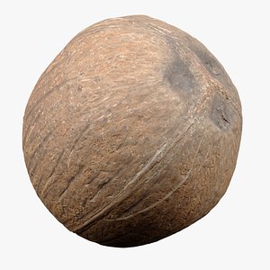 3D Coconut Fruit