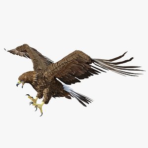 3d golden eagle pose 6 model