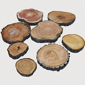 3D Wood Log Slices