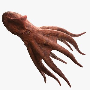 Nanaimoteuthis - Prehistoric Giant Octopus 3D model