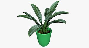 3D ornamental plant model