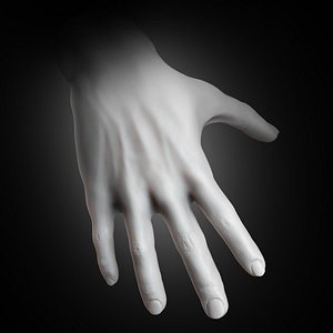 Muscular Human Hand 