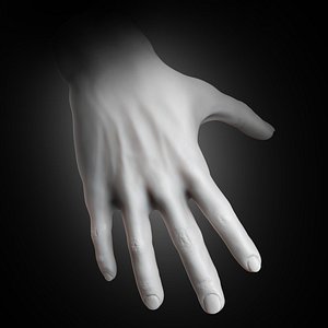Muscular Human Hand
