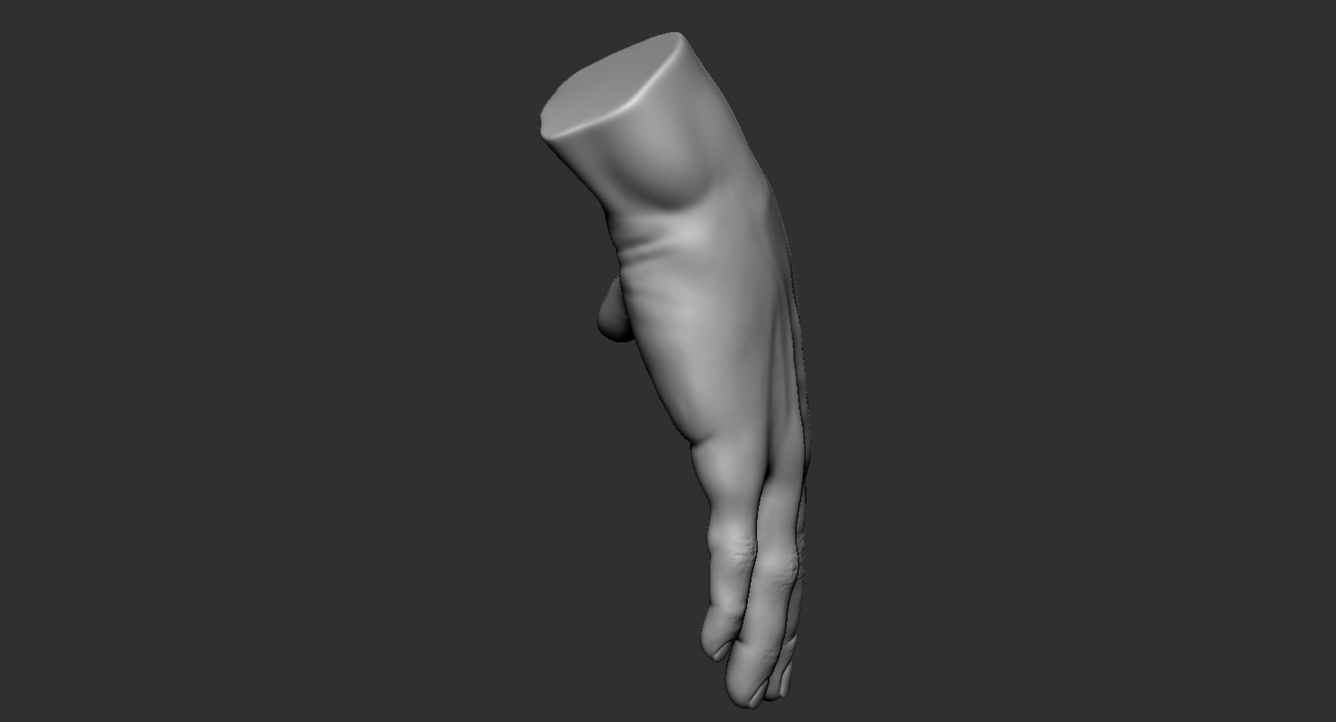 human muscular hand 2019 3D https://p.turbosquid.com/ts-thumb/DG/S6bEN2/HO7U4Bb9/4/jpg/1566596111/1920x1080/fit_q87/b7296a4c20d852a768845b273888519262db4a68/4.jpg