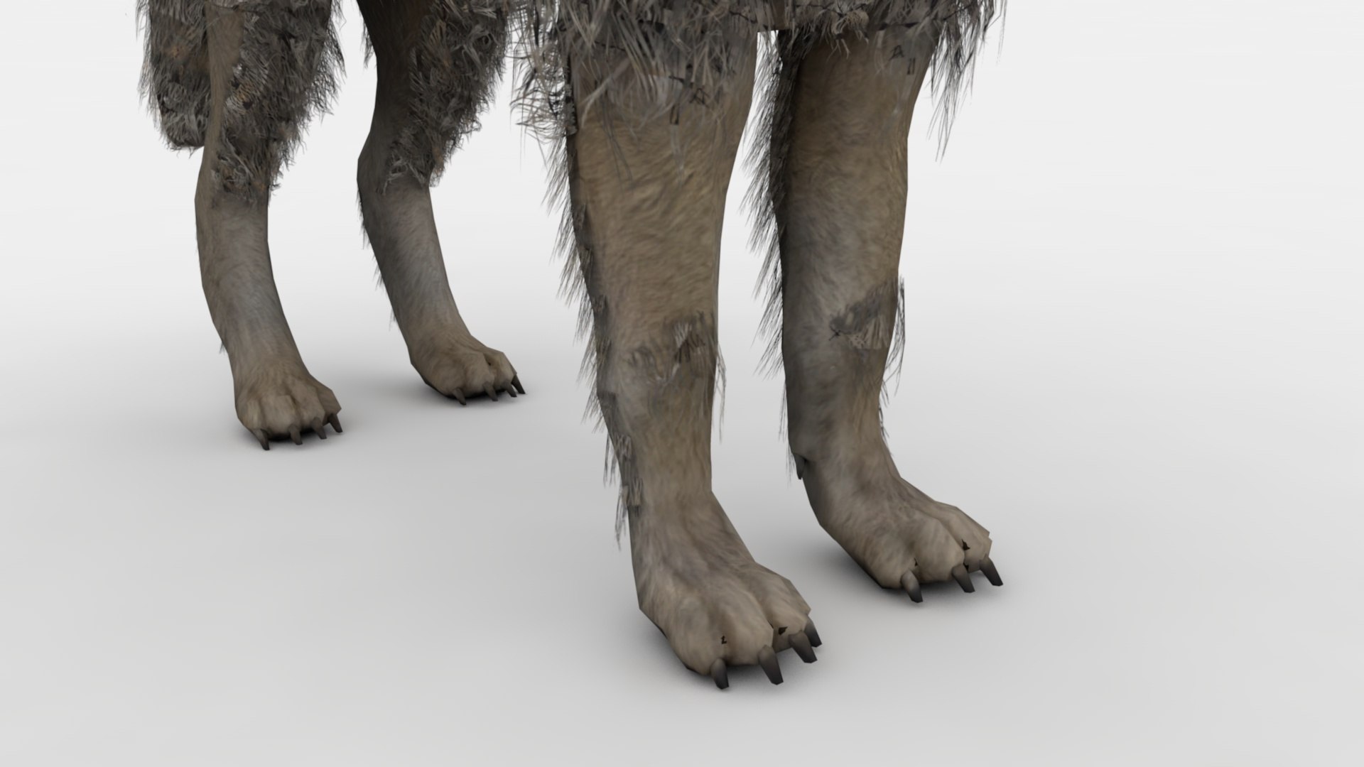 3D Wolf Rigged And Animated - TurboSquid 2348766