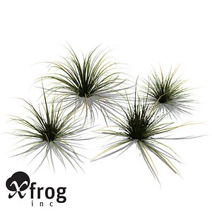 xfrogplants carex spec plant 3d 3ds