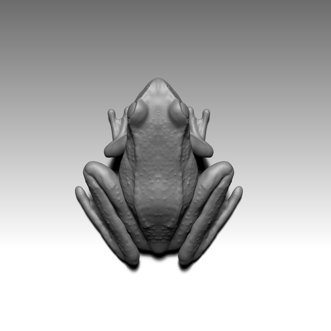 3D Rana - TurboSquid 2275540