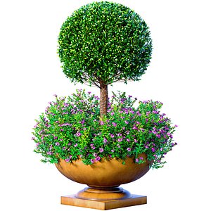 Boxwood with flowerbed garden planter for decoration for Porch
