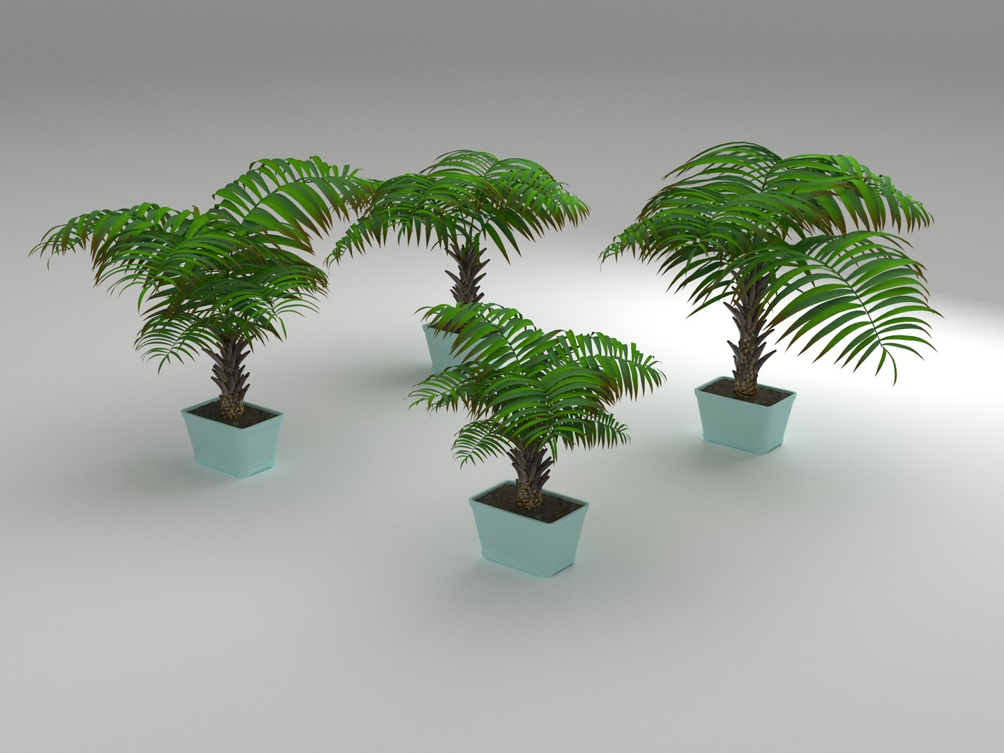 decorative palms 3D model https://p.turbosquid.com/ts-thumb/DG/cbbtwQ/3zI44rdw/palms_rend_02/jpg/1589393441/1920x1080/fit_q87/12ef35c5ebae0bf6331994628144ee5cebe51556/palms_rend_02.jpg