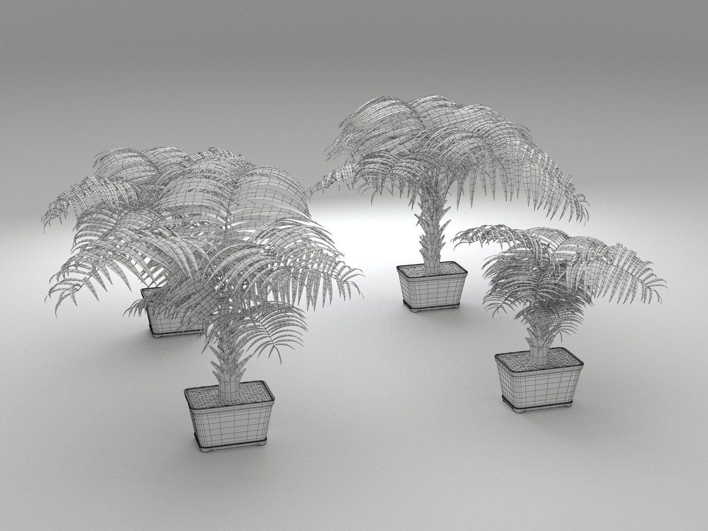 decorative palms 3D model https://p.turbosquid.com/ts-thumb/DG/cbbtwQ/AKmIR9qW/palms_wireframe_01/jpg/1589393439/1920x1080/fit_q87/d0bec9328ad8e415b9402c4af78dc5de9047bba8/palms_wireframe_01.jpg