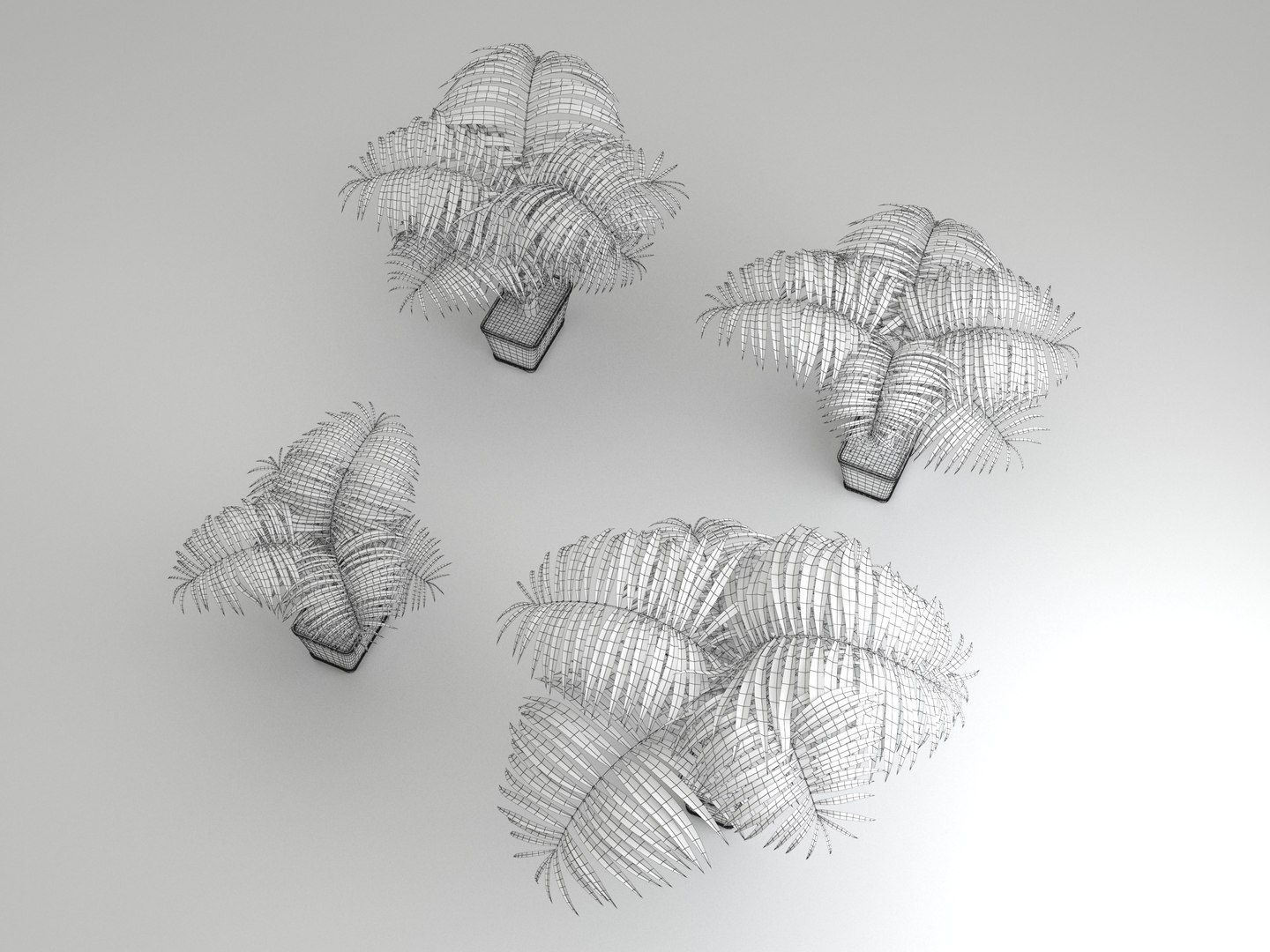 decorative palms 3D model https://p.turbosquid.com/ts-thumb/DG/cbbtwQ/FbUZ4CuJ/palms_wireframe_03/jpg/1589393449/1920x1080/fit_q87/8bb8952bd4ecb756195ba87fbabebab04279d43d/palms_wireframe_03.jpg