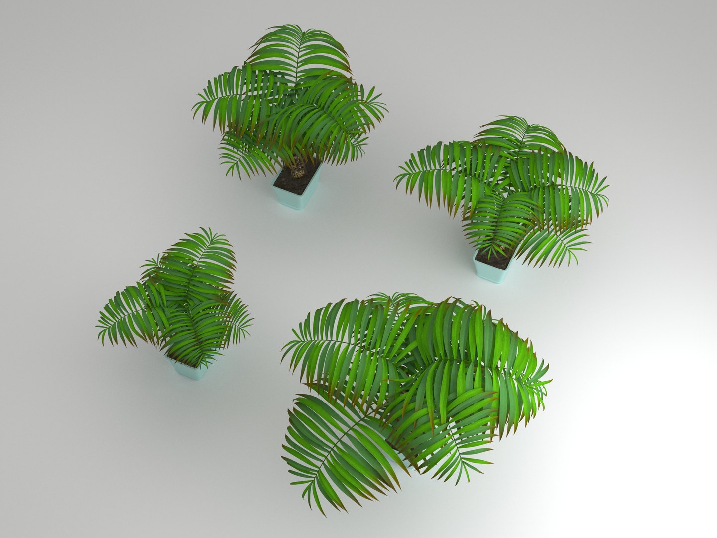 decorative palms 3D model https://p.turbosquid.com/ts-thumb/DG/cbbtwQ/H1o8q4QO/palms_rend_03/jpg/1589393446/1920x1080/fit_q87/87894e417fd353ceb87029891e2a91f15b7a424f/palms_rend_03.jpg
