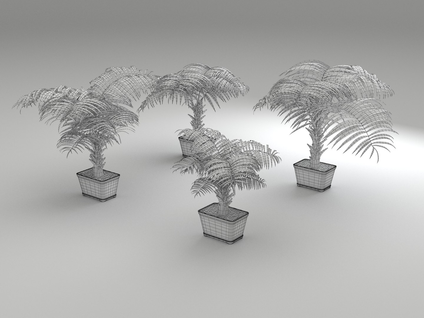 decorative palms 3D model https://p.turbosquid.com/ts-thumb/DG/cbbtwQ/cLha5Uni/palms_wireframe_02/jpg/1589393444/1920x1080/fit_q87/76d59e291344d0f443f05b7030e9462654cec158/palms_wireframe_02.jpg
